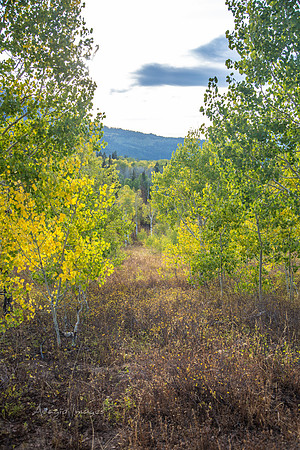 160917_alpine loop_042