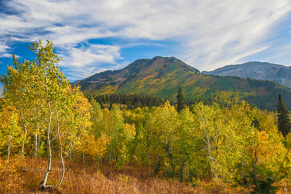 160917_alpine loop_009