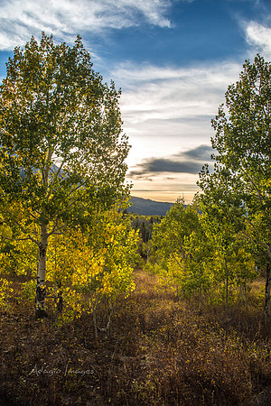 160917_alpine loop_032