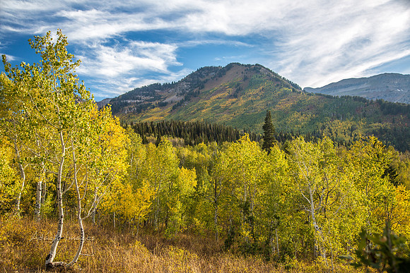160917_alpine loop_007