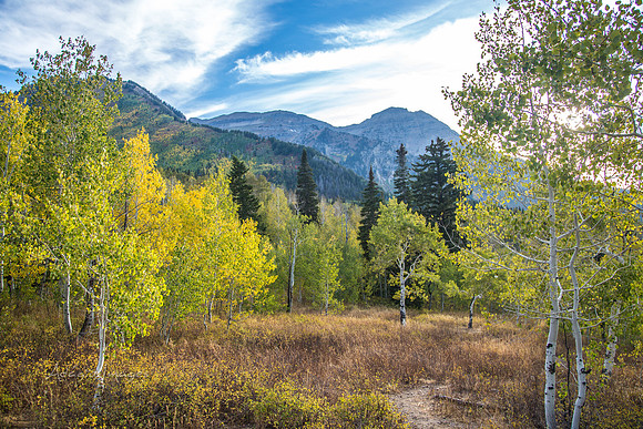 160917_alpine loop_045