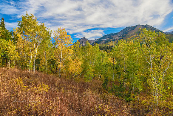 160917_alpine loop_055