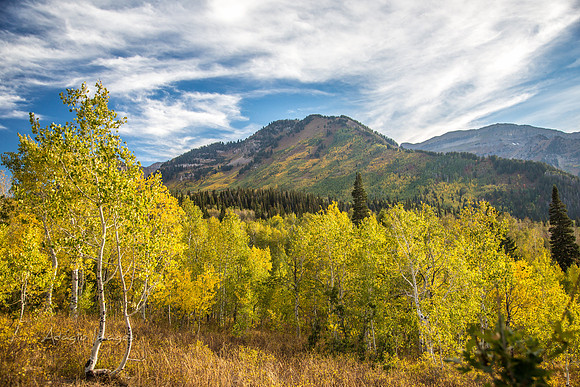 160917_alpine loop_008