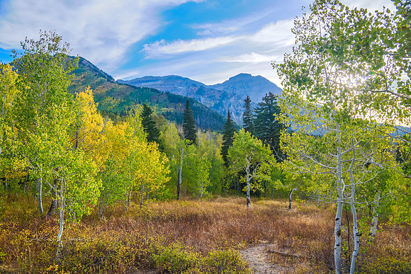 160917_alpine loop_046
