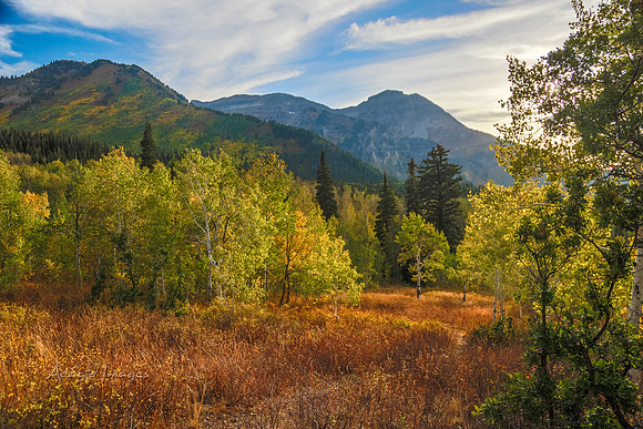 160917_alpine loop_017