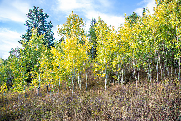 160917_alpine loop_040