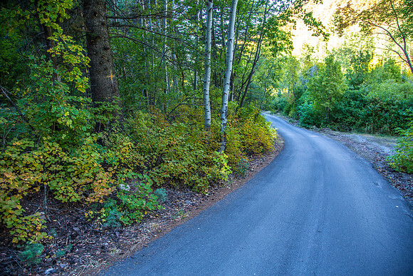 160918_Cabin_021