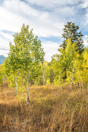 160917_alpine loop_035