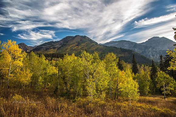 160917_alpine loop_022