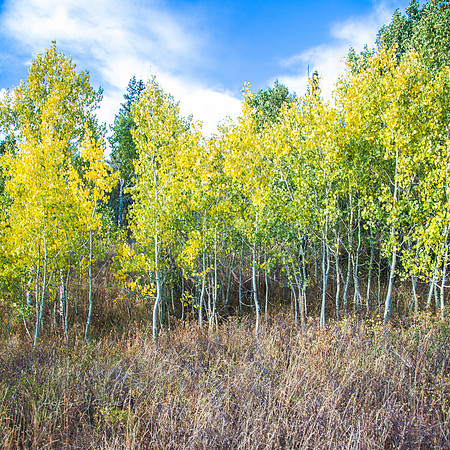 160917_alpine loop_037