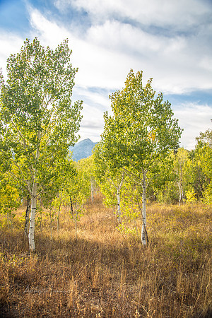 160917_alpine loop_034