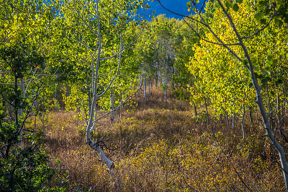 160917_alpine loop_002