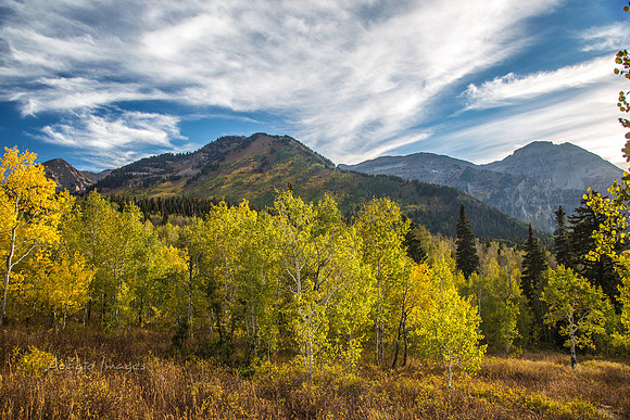 160917_alpine loop_021