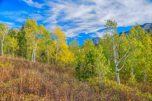 160917_alpine loop_050