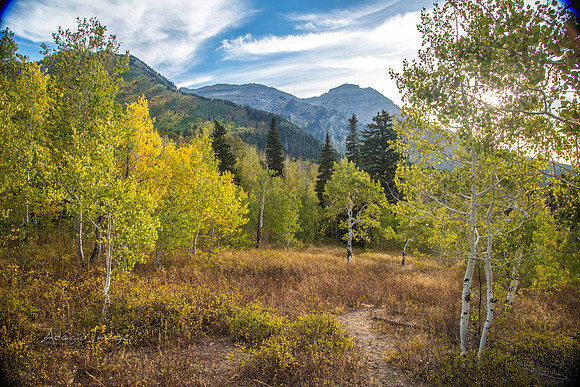 160917_alpine loop_044