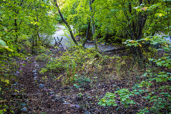 160918_Cabin_003