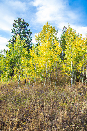 160917_alpine loop_036