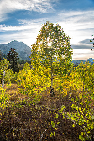 160917_alpine loop_023