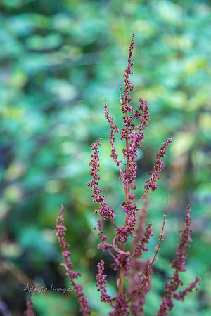 160918_Cabin_020