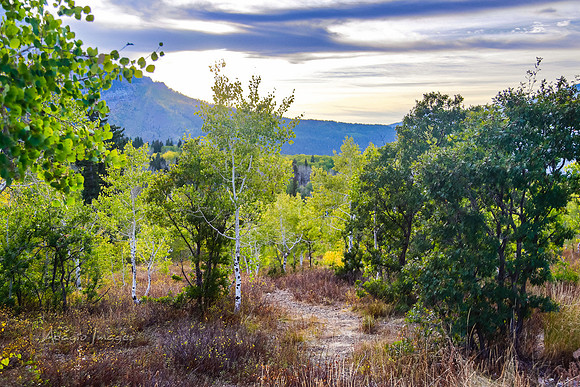 160917_alpine loop_087
