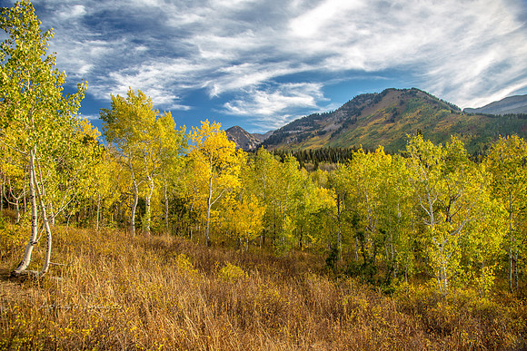 160917_alpine loop_020