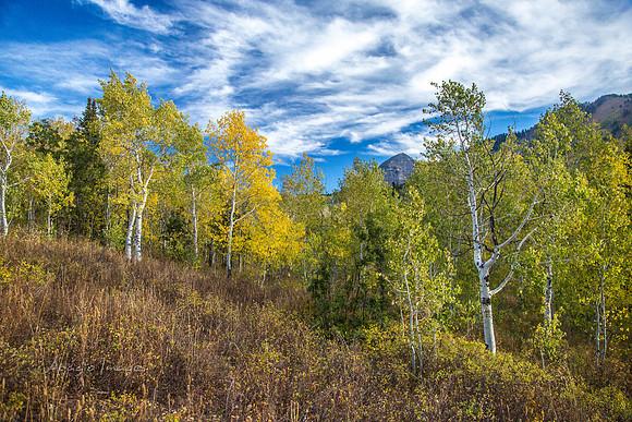 160917_alpine loop_052