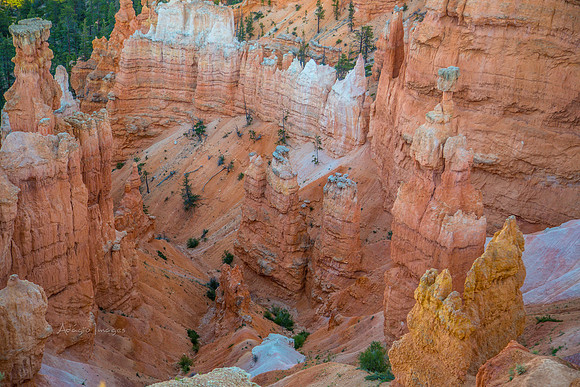 170616_Bryce Canyon_168