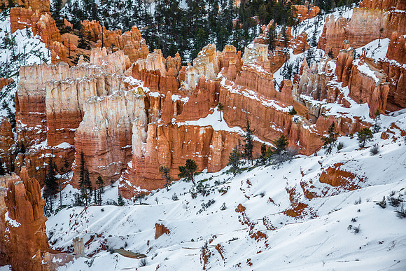 180302_Bryce Canyon_263