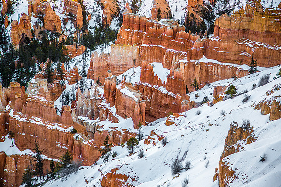 180302_Bryce Canyon_261