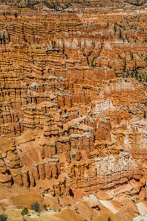 170616_Bryce Canyon_121