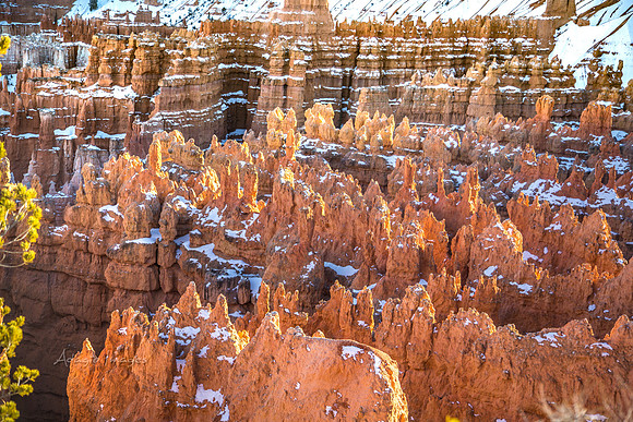 180302_Bryce Canyon_349