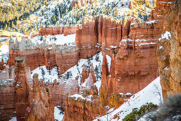 180302_Bryce Canyon_278