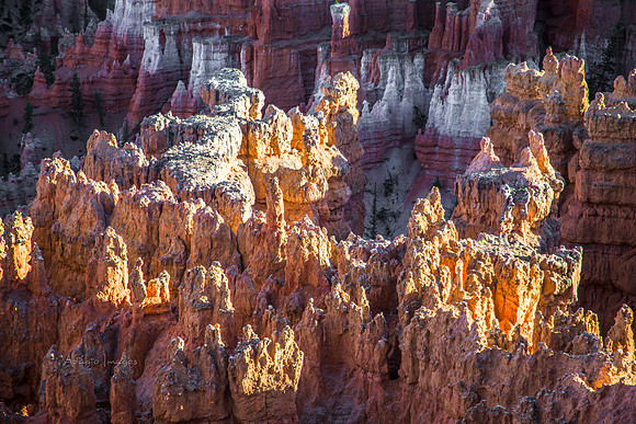 170616_Bryce Canyon_172