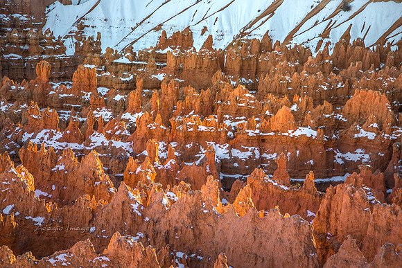 180302_Bryce Canyon_346