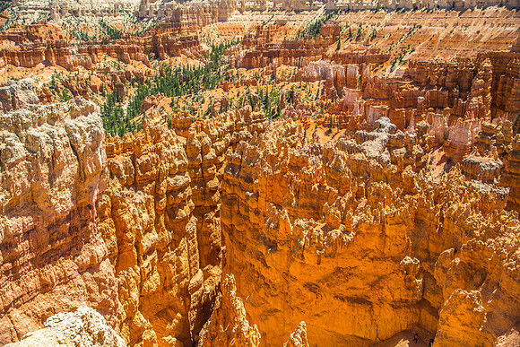 170616_Bryce Canyon_100