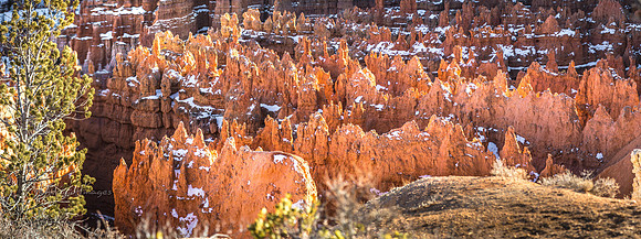 180302_Bryce Canyon_351-Pano