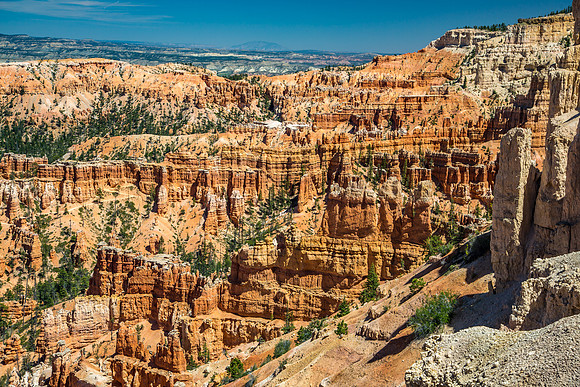 170616_Bryce Canyon_150