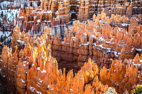 180302_Bryce Canyon_332