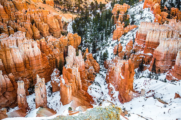180302_Bryce Canyon_258