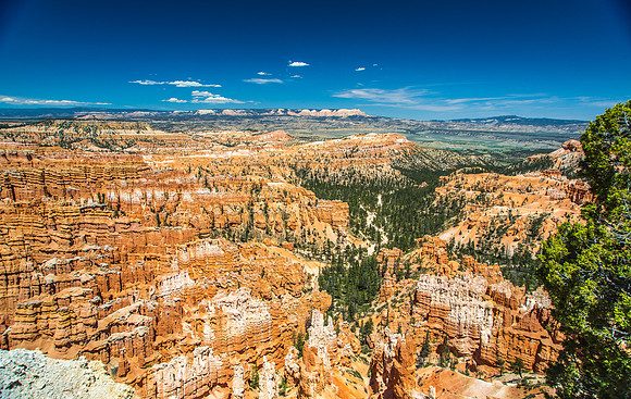 170616_Bryce Canyon_117