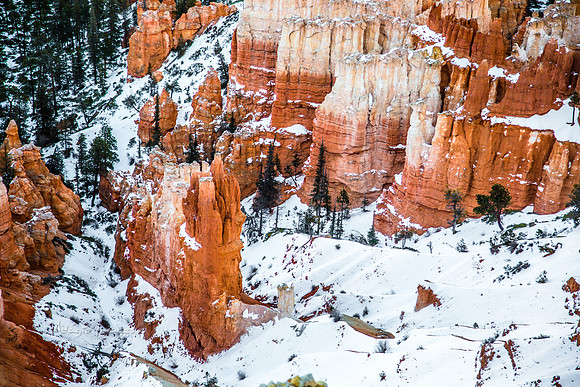 180302_Bryce Canyon_274