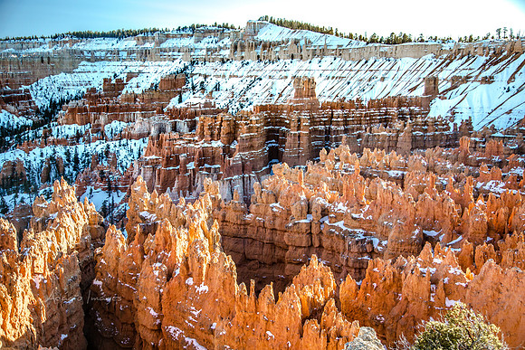 180302_Bryce Canyon_333