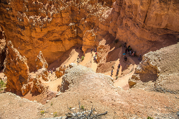 170616_Bryce Canyon_098