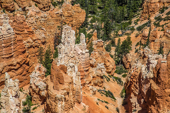 170616_Bryce Canyon_119