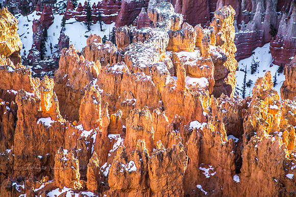 180302_Bryce Canyon_301
