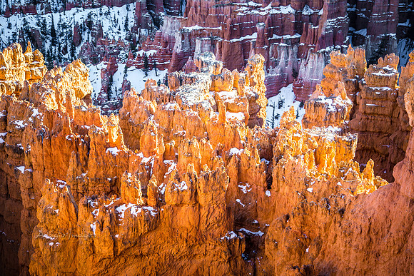 180302_Bryce Canyon_300