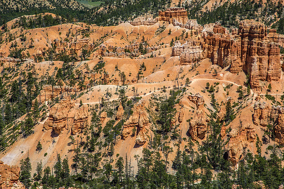170616_Bryce Canyon_142