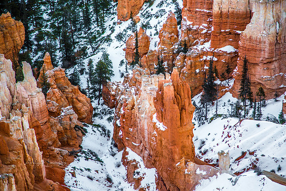 180302_Bryce Canyon_259
