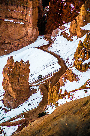 180302_Bryce Canyon_293