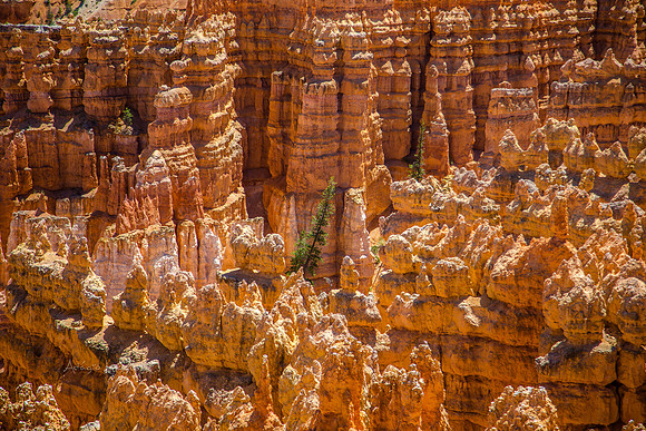 170616_Bryce Canyon_115
